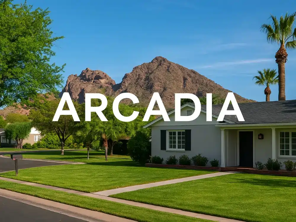 Arcadia best neighbor
